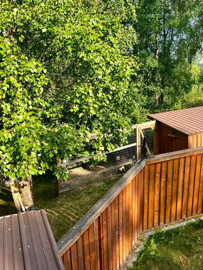 Вилла Indian Ak 25 Min To Anchorage & 25 Min To Girdwood Экстерьер фото